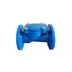 Rubber Check Valve