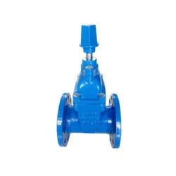 Square Cap Resilient Seat Gate Valve