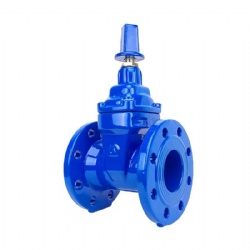 Square Head Gate Valve
