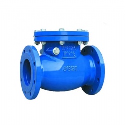 Swing Type Check Valve